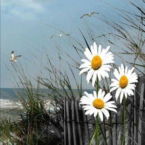 Meet your Posher, Ruth